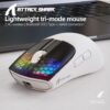 souris attack shark x5